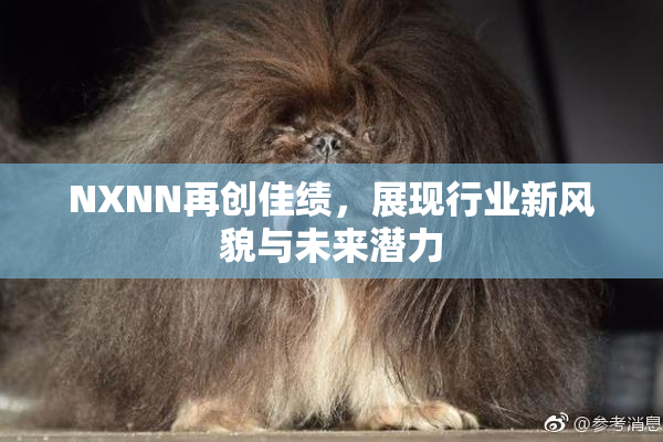 NXNN再创佳绩，展现行业新风貌与未来潜力