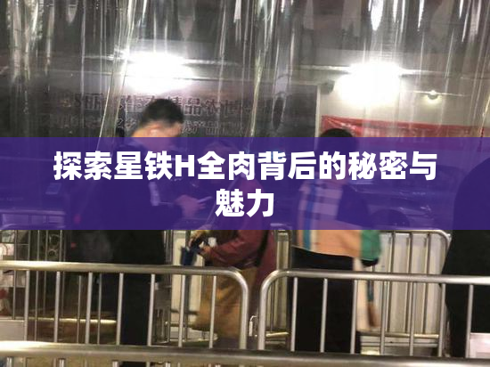 探索星铁H全肉背后的秘密与魅力