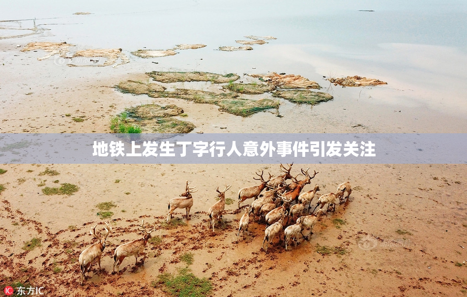地铁上发生丁字行人意外事件引发关注