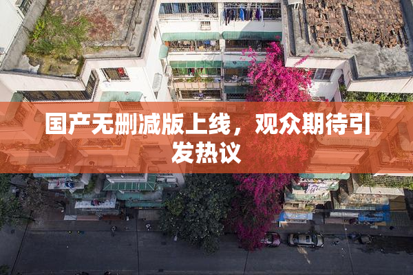 国产无删减版上线，观众期待引发热议