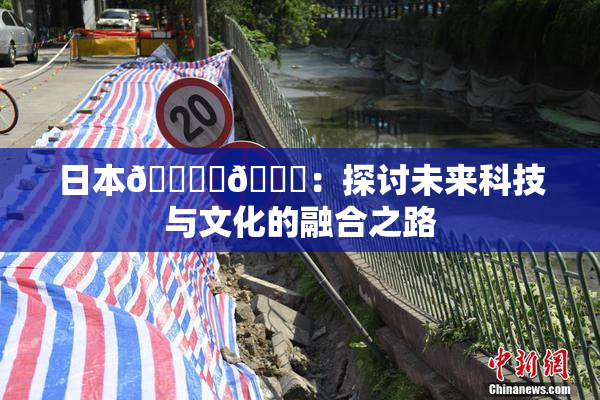 日本🔞‌🍌：探讨未来科技与文化的融合之路