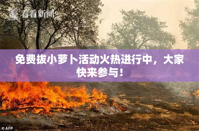 免费拔小萝卜活动火热进行中，大家快来参与！