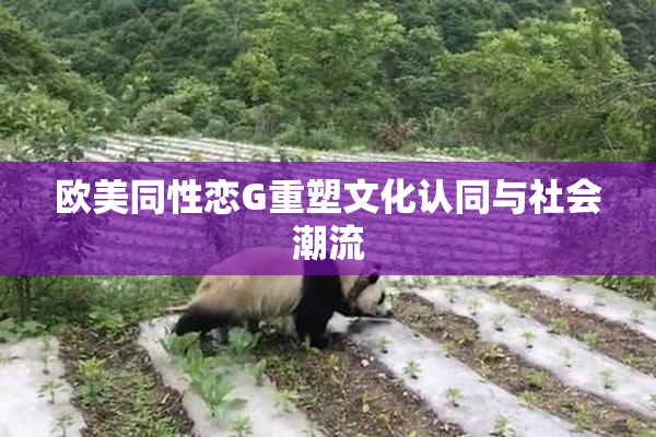 欧美同性恋G重塑文化认同与社会潮流