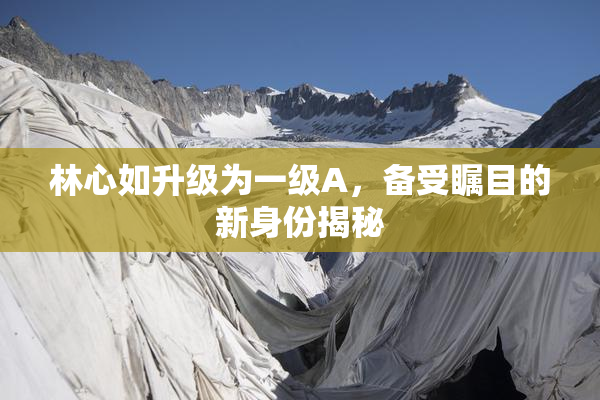 林心如升级为一级A，备受瞩目的新身份揭秘