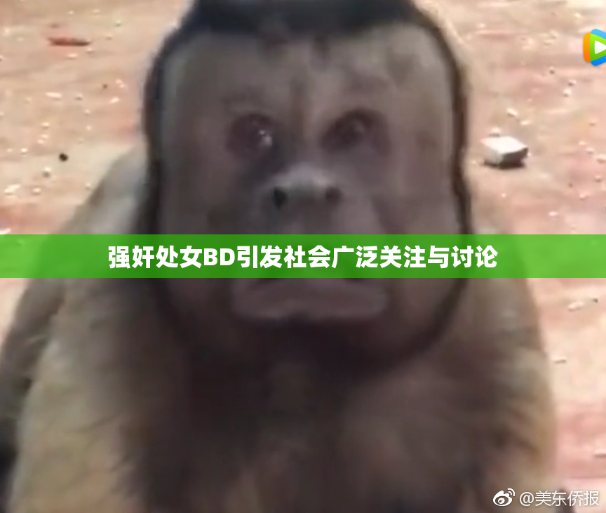 强奸处女BD引发社会广泛关注与讨论