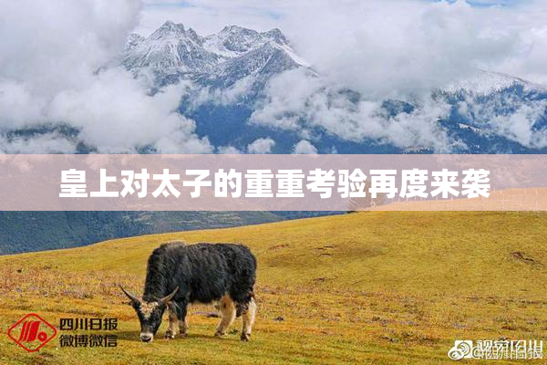 皇上对太子的重重考验再度来袭