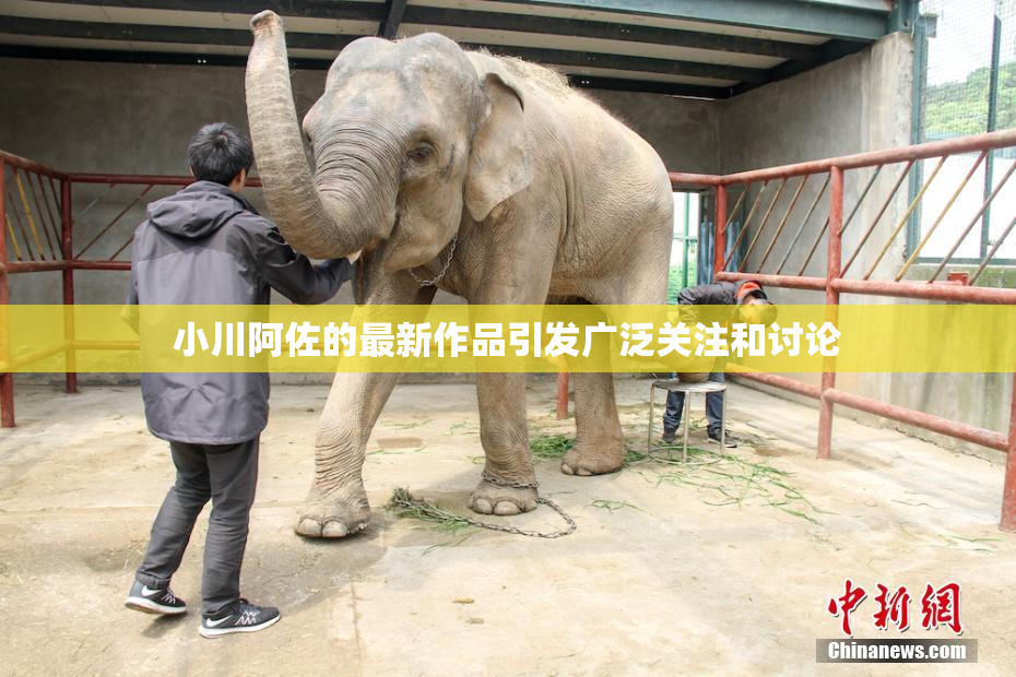 小川阿佐的最新作品引发广泛关注和讨论