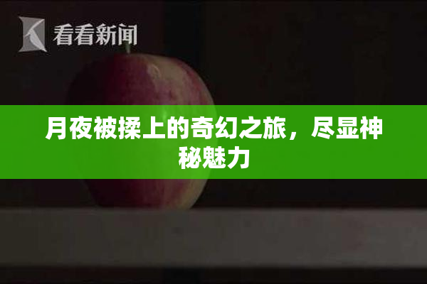 月夜被揉上的奇幻之旅，尽显神秘魅力