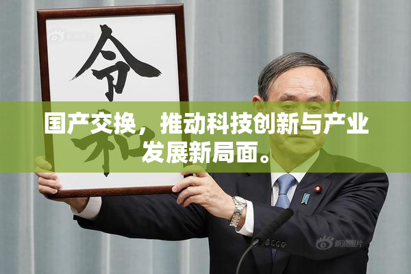 国产交换，推动科技创新与产业发展新局面。