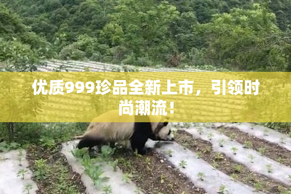 优质999珍品全新上市，引领时尚潮流！