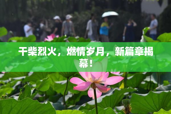 干柴烈火，燃情岁月，新篇章揭幕！