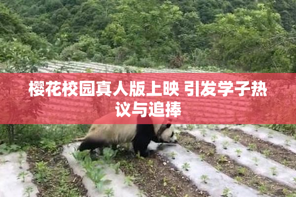 樱花校园真人版上映 引发学子热议与追捧