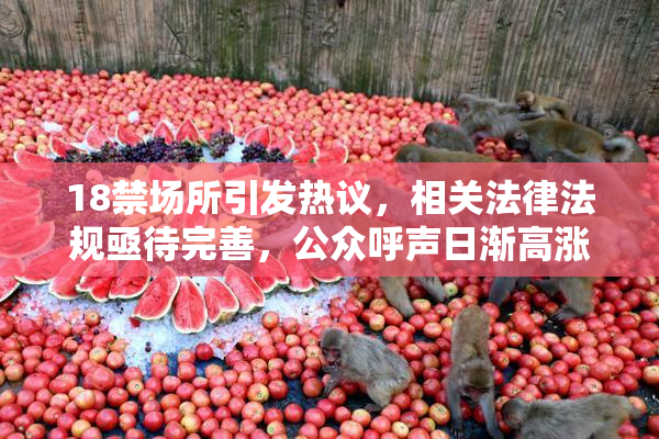18禁场所引发热议，相关法律法规亟待完善，公众呼声日渐高涨。