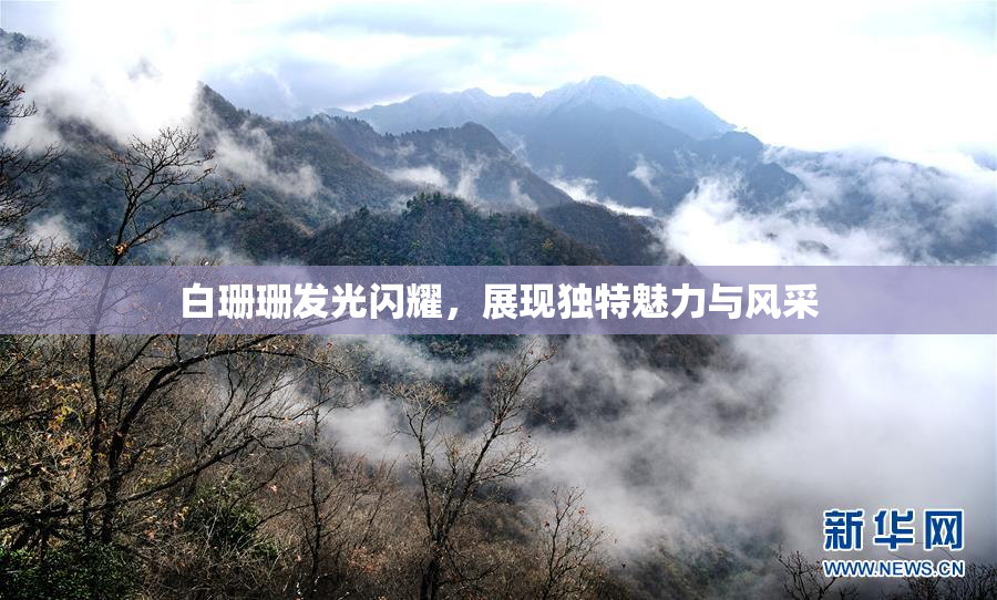 白珊珊发光闪耀，展现独特魅力与风采