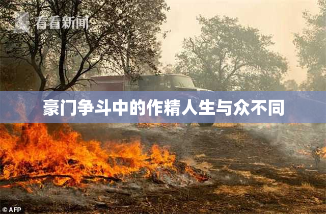 豪门争斗中的作精人生与众不同