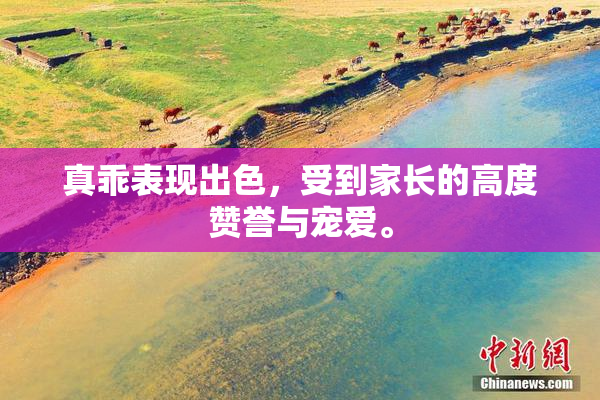 真乖表现出色，受到家长的高度赞誉与宠爱。