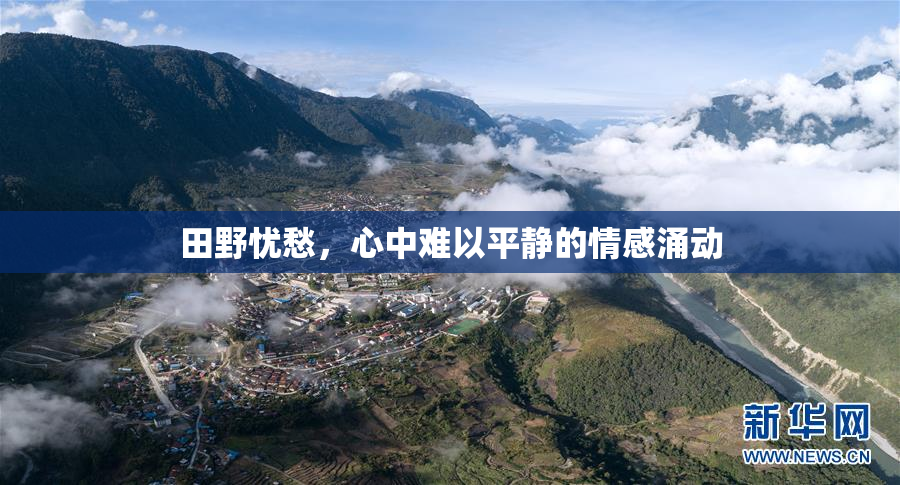 田野忧愁，心中难以平静的情感涌动