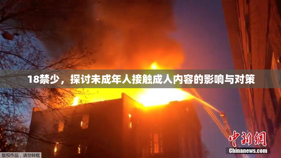 18禁少，探讨未成年人接触成人内容的影响与对策