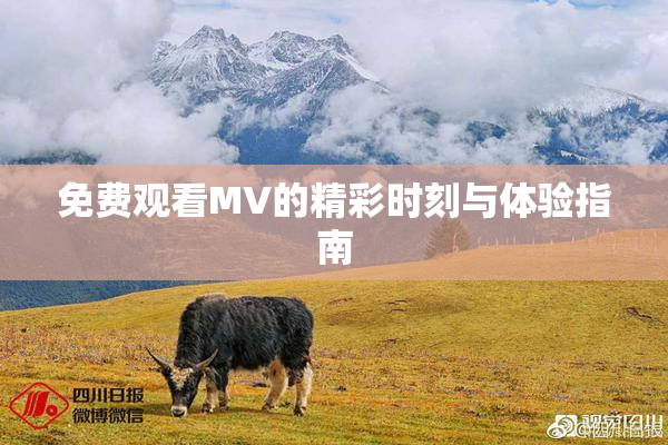 免费观看MV的精彩时刻与体验指南