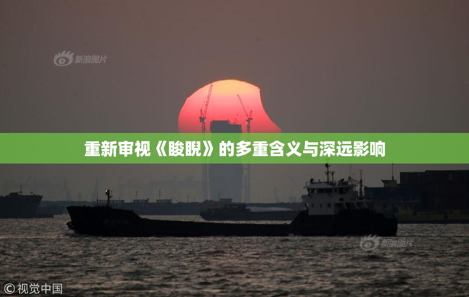 重新审视《睃睨》的多重含义与深远影响