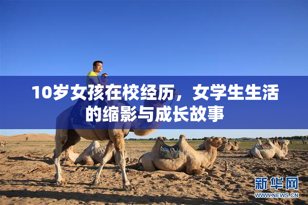 10岁女孩在校经历，女学生生活的缩影与成长故事