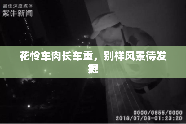 花怜车肉长车重，别样风景待发掘