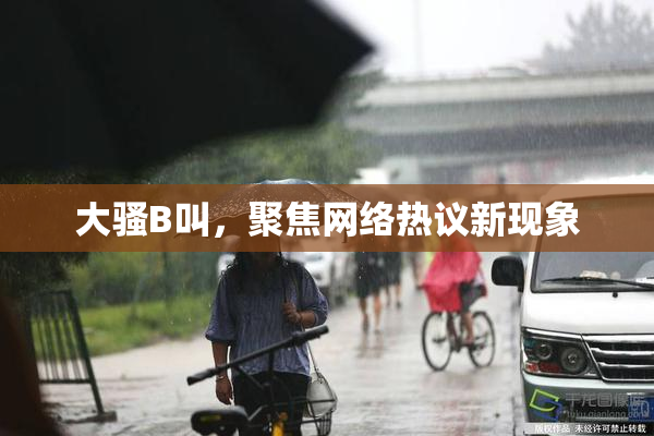 大骚B叫，聚焦网络热议新现象