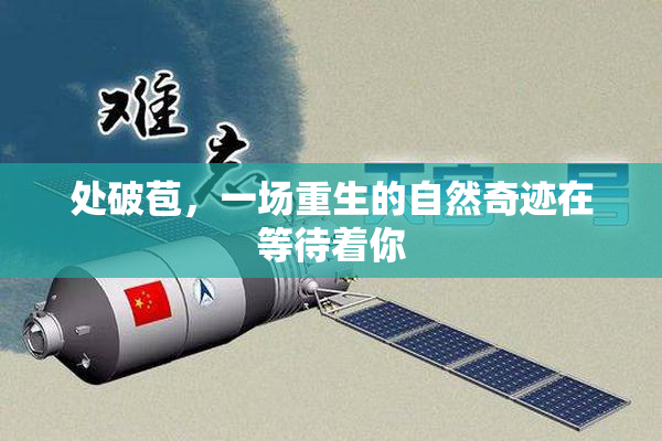 处破苞，一场重生的自然奇迹在等待着你