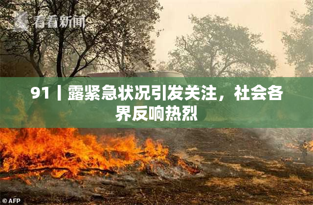 91丨露紧急状况引发关注，社会各界反响热烈