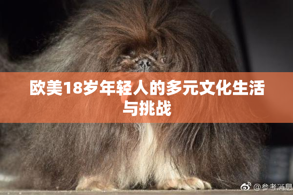 欧美18岁年轻人的多元文化生活与挑战