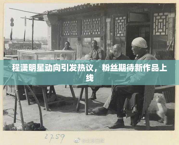 程潇明星动向引发热议，粉丝期待新作品上线