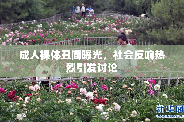 成人裸体丑闻曝光，社会反响热烈引发讨论