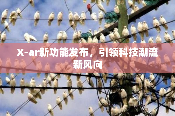 X-ar新功能发布，引领科技潮流新风向