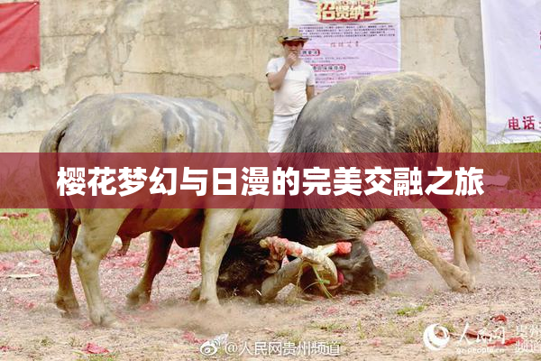 樱花梦幻与日漫的完美交融之旅