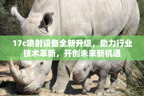 17c喷射设备全新升级，助力行业技术革新，开创未来新机遇