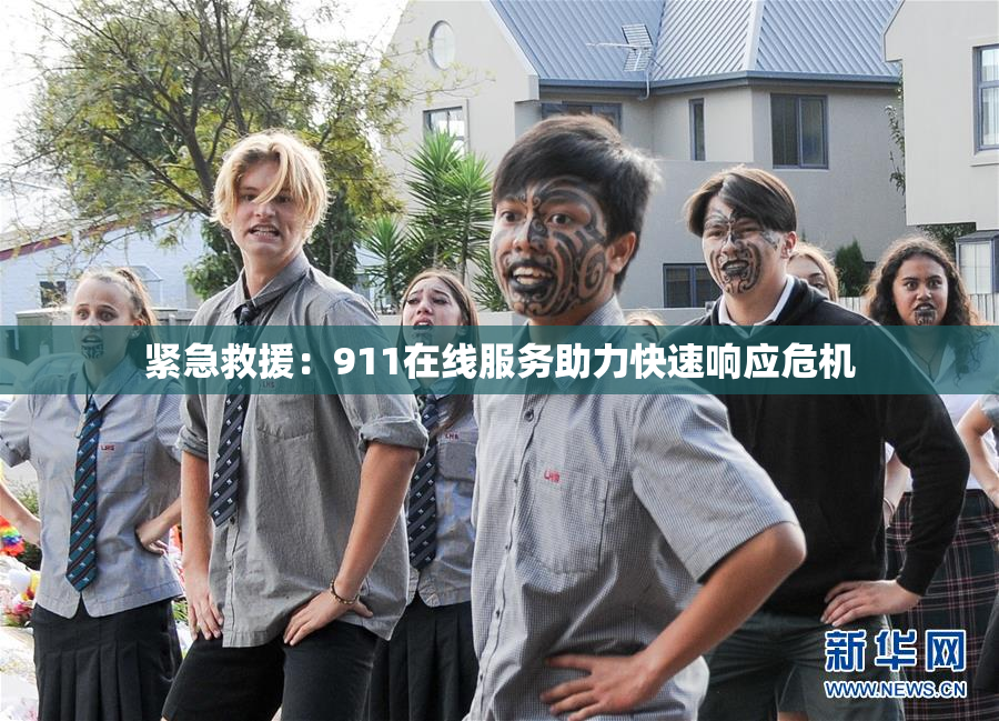 紧急救援：911在线服务助力快速响应危机