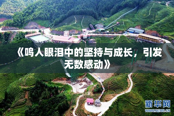 《鸣人眼泪中的坚持与成长，引发无数感动》