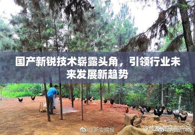 国产新锐技术崭露头角，引领行业未来发展新趋势