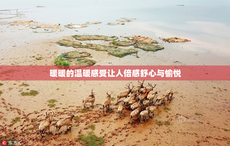 暖暖的温暖感受让人倍感舒心与愉悦