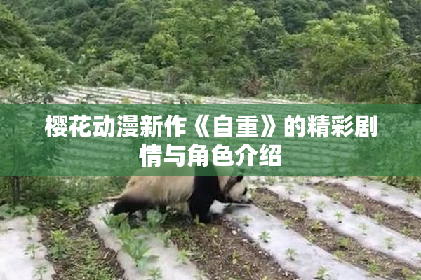 樱花动漫新作《自重》的精彩剧情与角色介绍