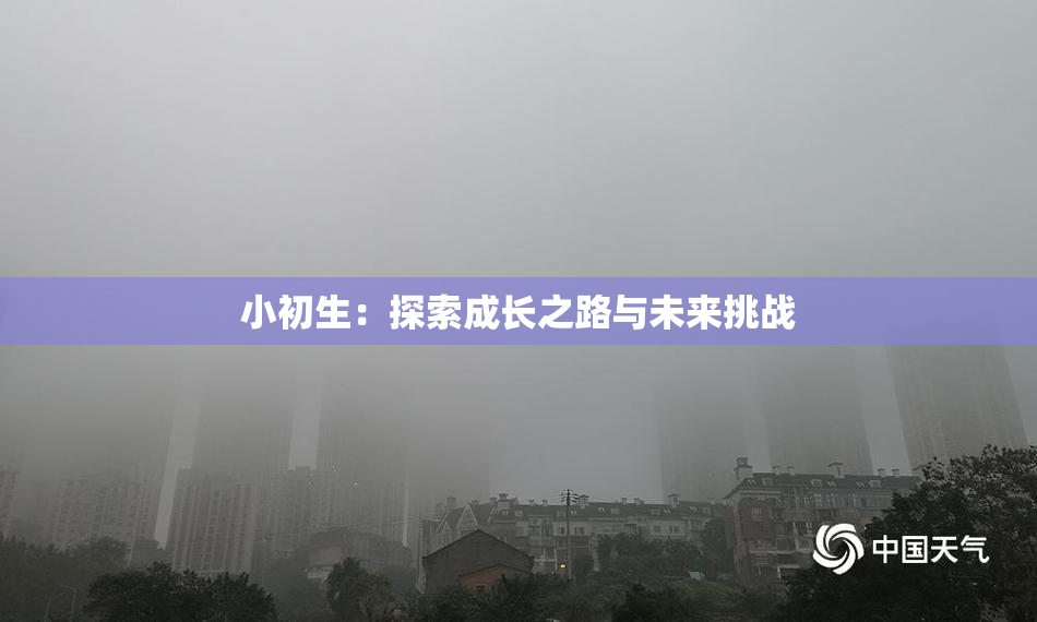 小初生：探索成长之路与未来挑战