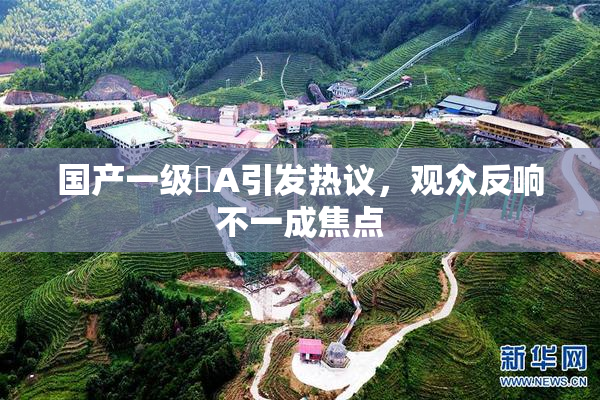 国产一级婬A引发热议，观众反响不一成焦点