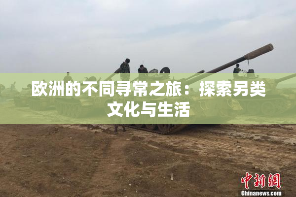 欧洲的不同寻常之旅：探索另类文化与生活