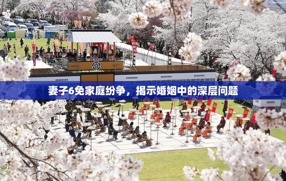 妻子6免家庭纷争，揭示婚姻中的深层问题