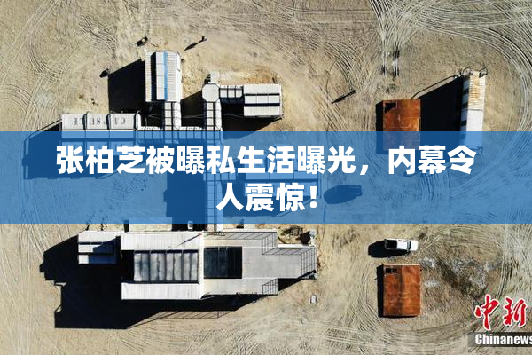 张柏芝被曝私生活曝光，内幕令人震惊！