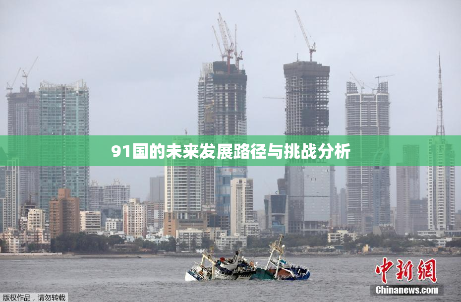 91国的未来发展路径与挑战分析