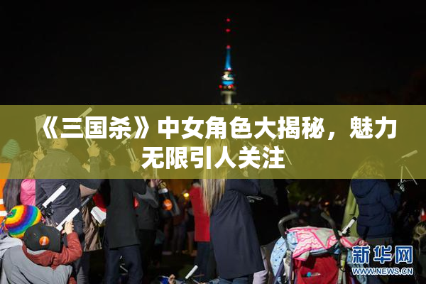 《三国杀》中女角色大揭秘，魅力无限引人关注