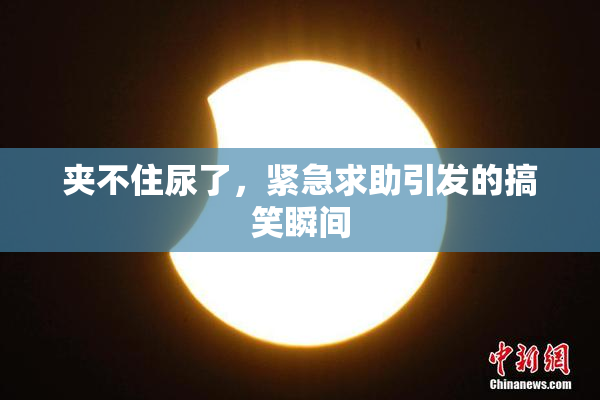 夹不住尿了，紧急求助引发的搞笑瞬间