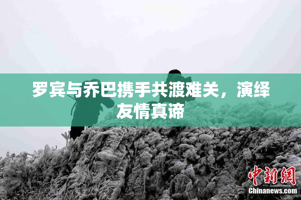罗宾与乔巴携手共渡难关，演绎友情真谛