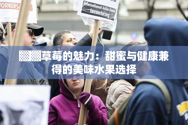 ▓▓草莓的魅力：甜蜜与健康兼得的美味水果选择